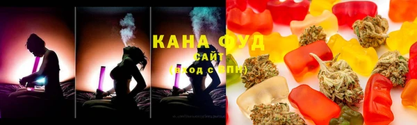 гидра Медвежьегорск