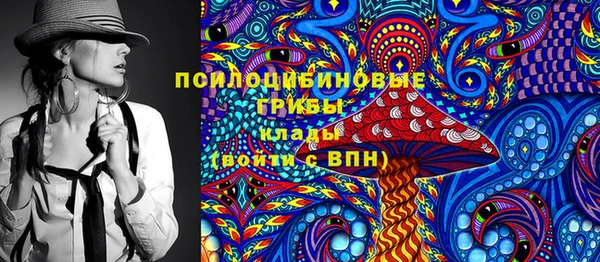 стаф Мегион