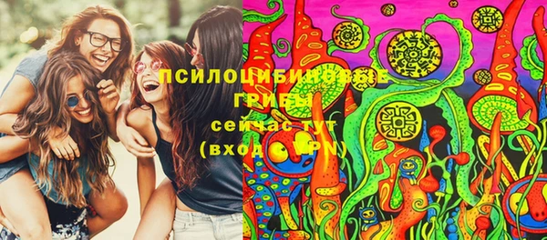 гидра Медвежьегорск