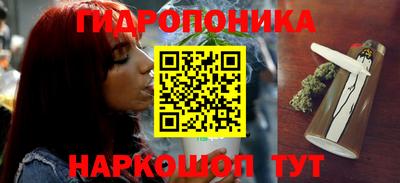 бошки Абакан