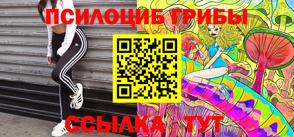 Россия  Галлюциногенные грибы MAGIC MUSHROOMS  Вход с VPN 